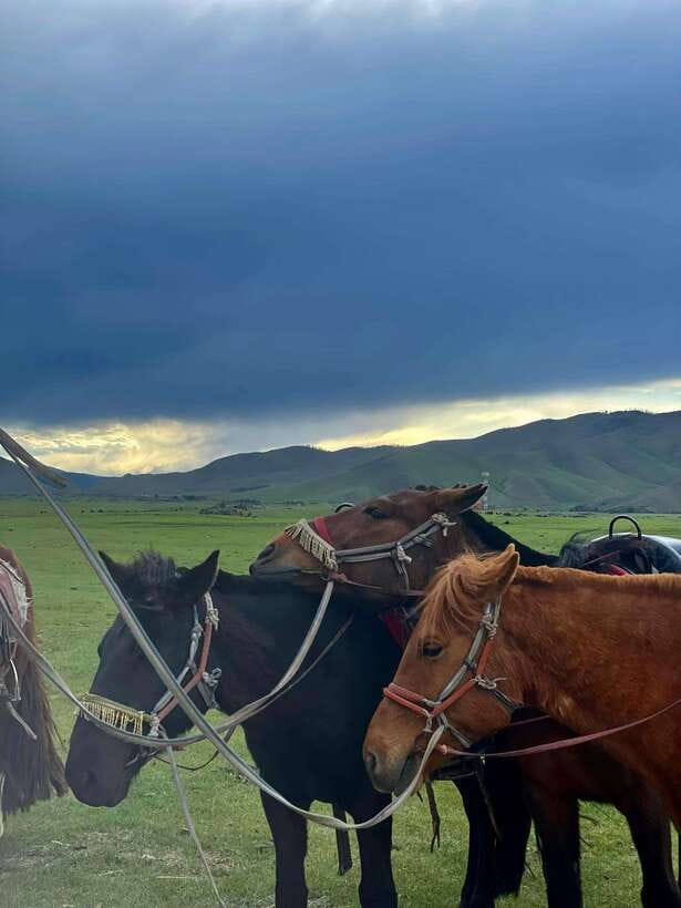 Terelj national park transport /Best price tour - Winter Palace of Bogd Khan: architecture and royal context