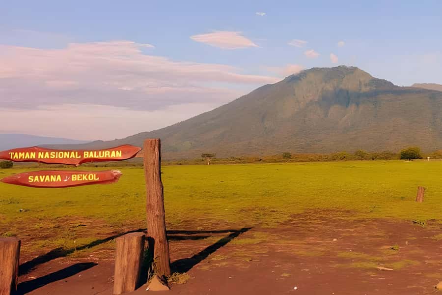 The Authentic Sunset Of Baluran National Park Banyuwangi - Pickup from Banyuwangi or Kalipuro, then straight into the park vibe