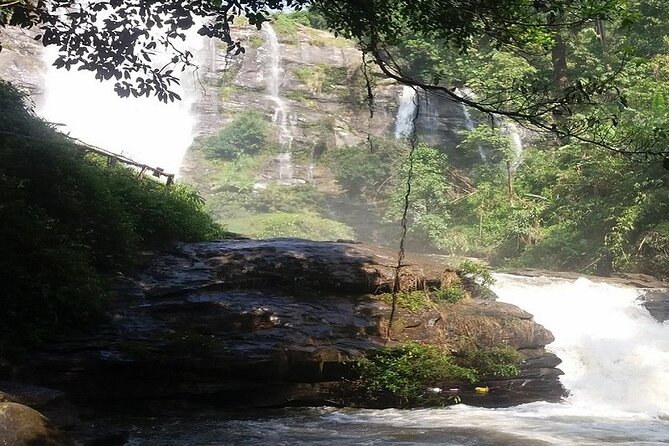 The Best One Day Trip Of Doi Inthanon National Park - Walking, cold weather, and what to pack for Doi Inthanon