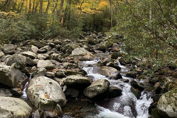 The "Classic" National Park Tour - Stop 1: Elkmont Ghost Town River Walk and the Park’s Human Stories