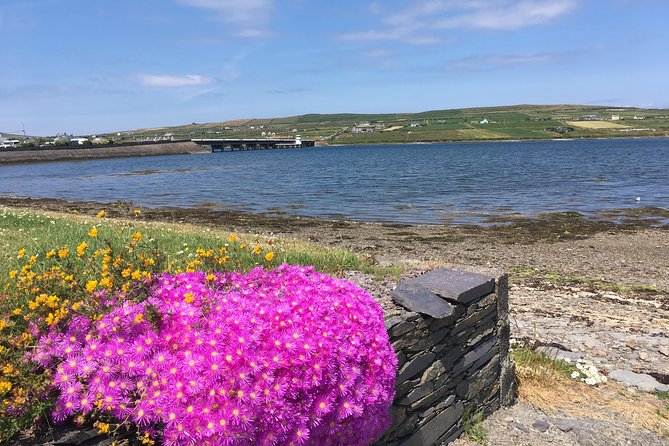 The Cliffs of Moher and Burren National Park Private Tour. - Stop 1 in Adare Heritage Centre: genealogy desk + coffee break