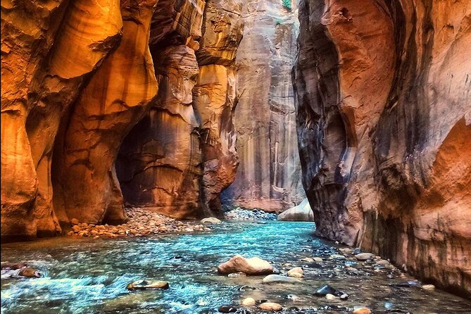 The Narrows: Zion National Park Private Guided Hike - Key highlights worth planning for