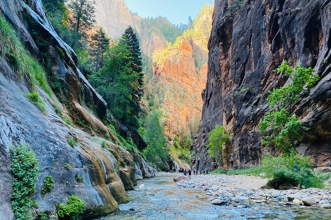 The Narrows: Zion National Park Private Guided Hike - Stop 1: Zion Canyon Scenic Drive sets your brain up for the river