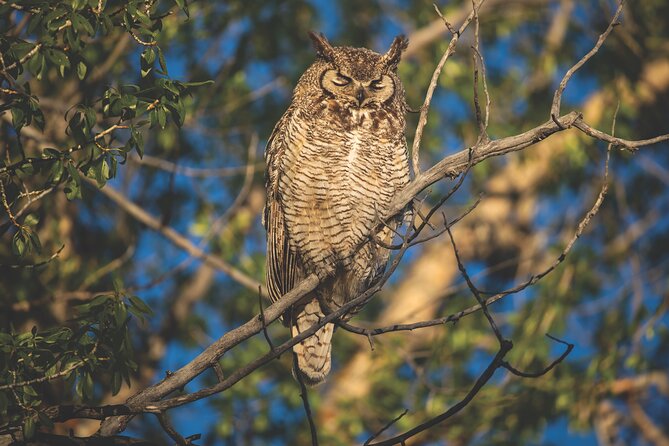 The Premier Wildlife Tours in Rocky Mountain National Park - Guide style that keeps you engaged and not rushed