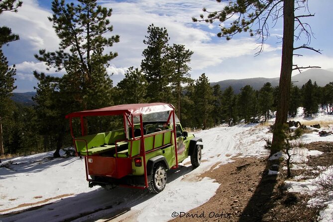 The Rocky Mountain National Park Winter Safari Tour - Key Things to Know Before You Go