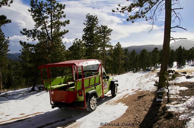 The Rocky Mountain National Park Winter Safari Tour - Who This Winter Safari Fits Best