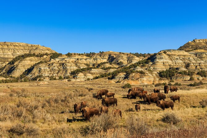 Theodore Roosevelt National Park Self-Guided Driving Audio Tour - North Unit Visitor Center: your planning hub