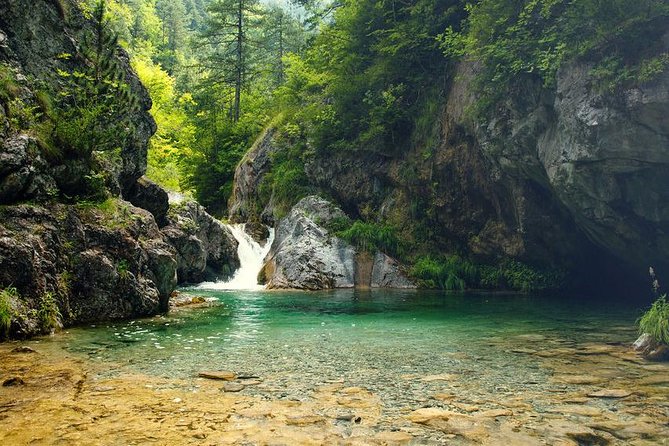 Thessaloniki: Bus Trip to Dion & Mt Olympus National Park - The Olympus National Park Information Center: learning without fatigue