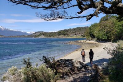 Tierra del Fuego National Park Private Tour - Stop-by-stop: what each highlight is really like