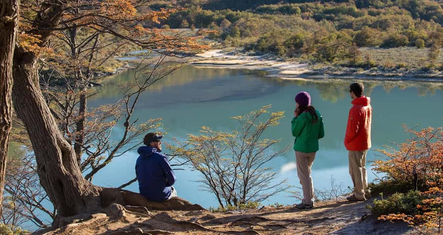 Tierra del Fuego National Park: Small Group Tour with Lunch - The End of the World Station: train option vs. your own short loop