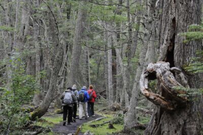 Tierra del Fuego National Park: Small Group Tour with Lunch - Bahia Lapataia and Lapataia Bay: where the Americas end (and photos win)
