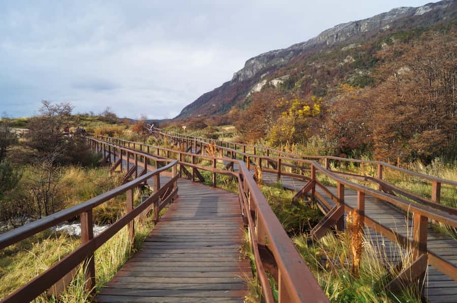 Tierra del Fuego National Park: Small Group Tour with Lunch - Beyond the bay: en route viewpoints like Ensenada Bay and Lake Acigami