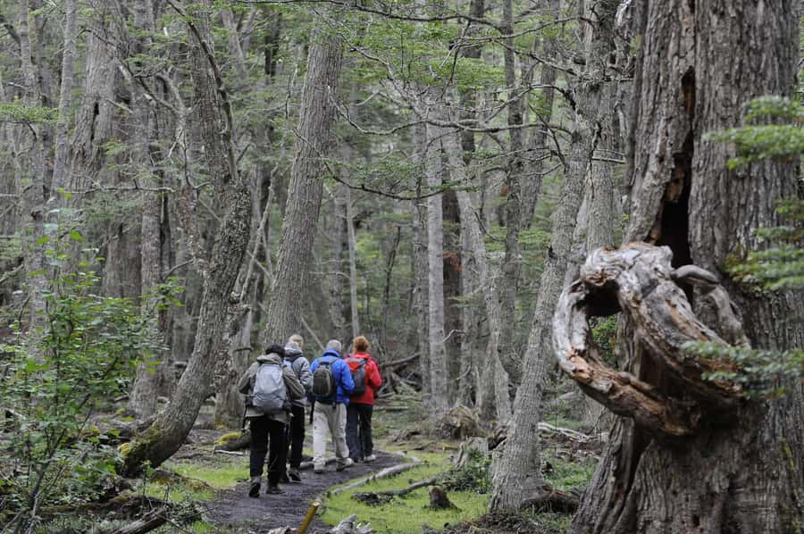 Tierra del Fuego National Park: Small Group Tour with Lunch - Bahia Lapataia and Lapataia Bay: where the Americas end (and photos win)