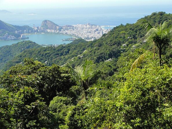 Tijuca National Park and all its wonders - Key highlights you’ll feel the moment you start