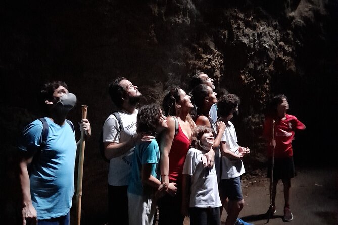Tijuca National Park and all its wonders - The timing that makes sense: 4 to 5 hours in the morning