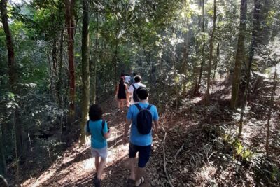 Tijuca National Park and all its wonders! - The 4-hour format that works for most schedules
