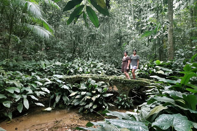 Tijuca National Park and all its wonders - What to bring for a waterfall hike with swim time