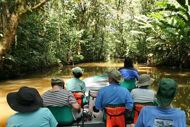 Tortuguero National Park and Canals Day Trip from San Jose - Braulio Carrillo on the way: coffee, cloud forest, and waterfall views