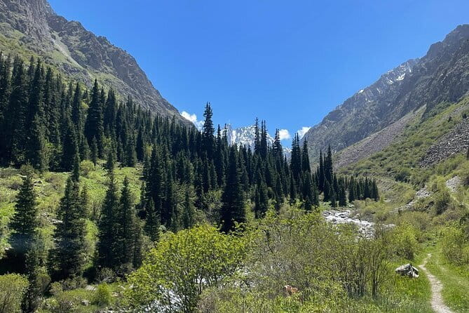 Tour to the Ala Archa National Park - The return to Bishkek and optional Kyrgyz lunch