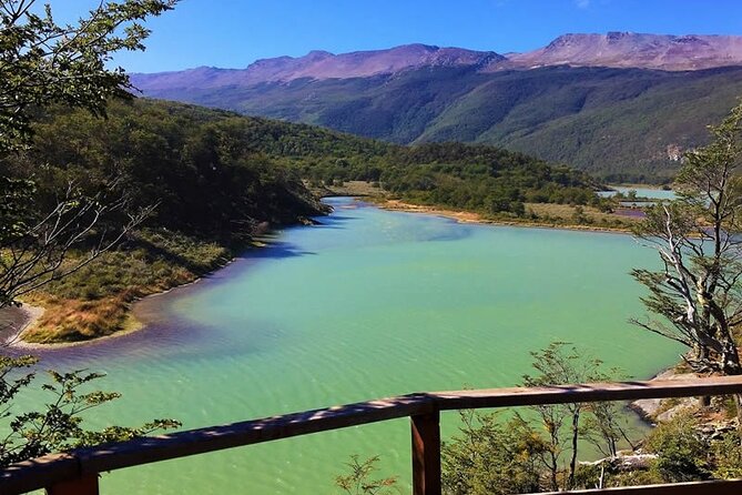 Tour to Tierra del Fuego National Park from Ushuaia - Timing and comfort: a 7:00 am start with air-conditioned ease
