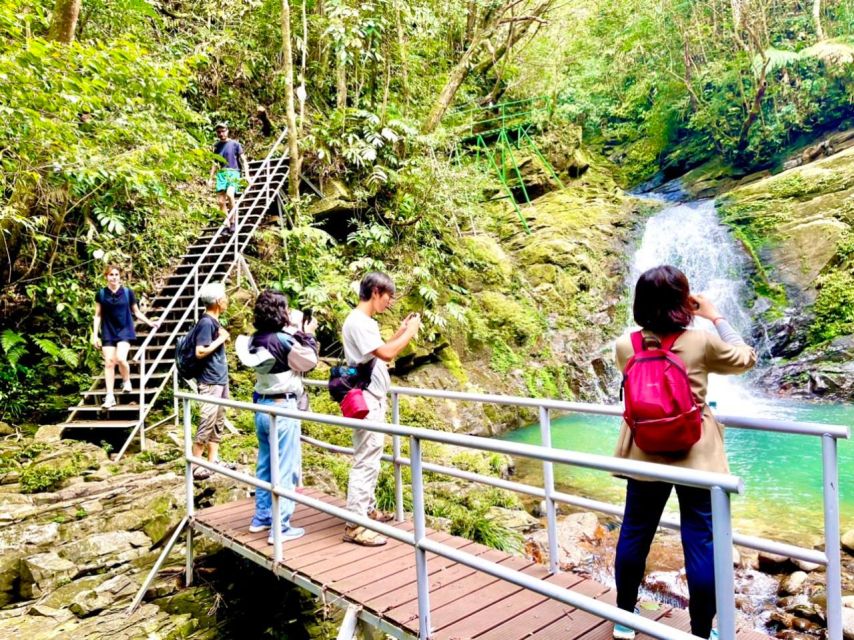TOUR TREKKING HUE - BACH MA NATIONAL PARK DAILY - Key highlights you’ll actually care about