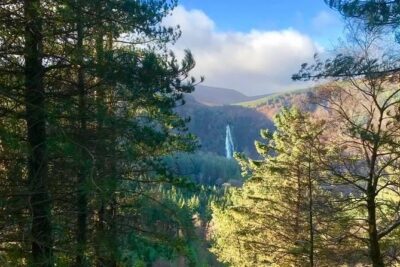 Tour Wicklow Mountains National Park in a limo with private guide - Wicklow Mountains National Park: drive time that still feels like sightseeing