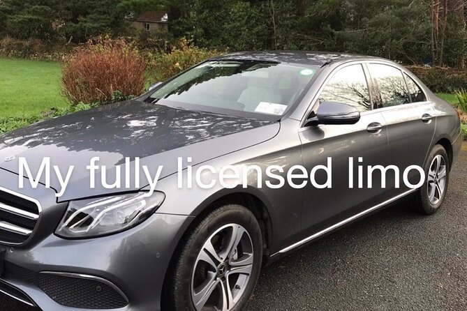 Tour Wicklow Mountains National Park in a limo with private guide - Comfort details that matter on a country day
