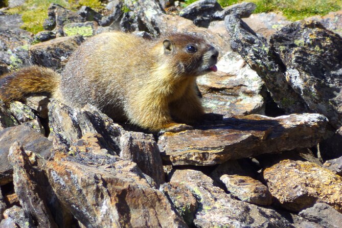 Trail Ridge Road Rocky Mountain National Park Private Tour - Included Extras: Small Things That Add Up