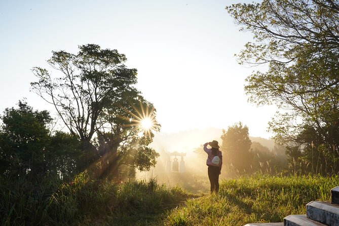 Transfer from Hue to Da Nang or Hoi An via Bach Ma National Park - Why This Hue-to-Da Nang Transfer Feels Like a Full Day Out