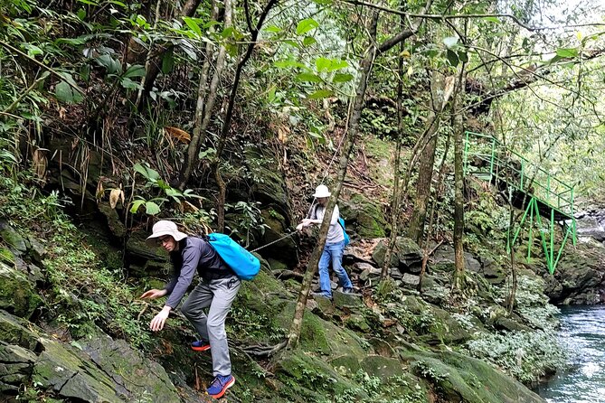 Transfer from Hue to Da Nang or Hoi An via Bach Ma National Park - Meeting at 8:00 and the Day’s Flow (10 to 11 Hours)