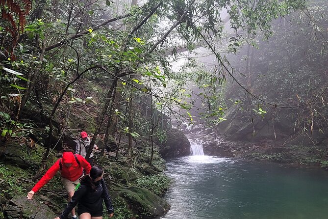 Transfer from Hue to Da Nang or Hoi An via Bach Ma National Park - Small Group (Up to 8): Why It Changes the Feel of the Day