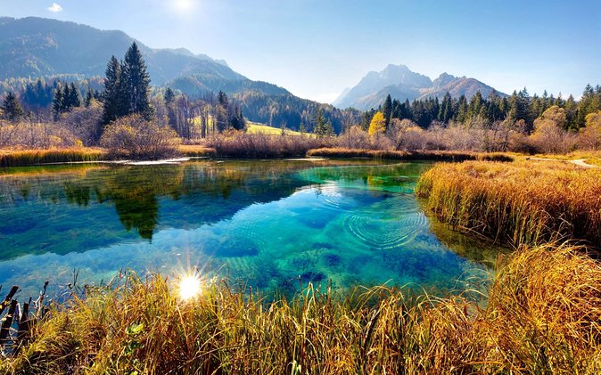 Triglav National Park and the Alps Private tour - Zelenci Nature Reserve: why Lake Zelenci feels like a winter cheat code