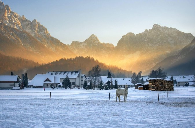 Triglav National Park and the Alps Private tour - Guide and group size: what the small van really changes
