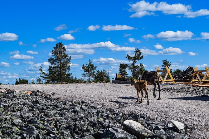 Trip to Pyhä-Luosto National Park and Amethyst Mine - Winter changes everything: the extra hour and the snow car ride