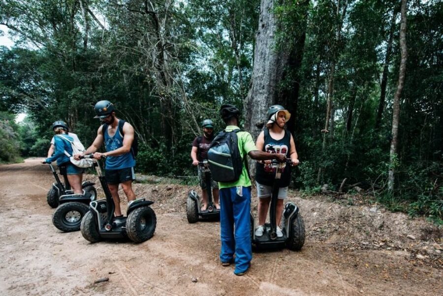 Tsitsikamma National Park: 1 or 2-Hour Segway Tour - Key Highlights at a Glance