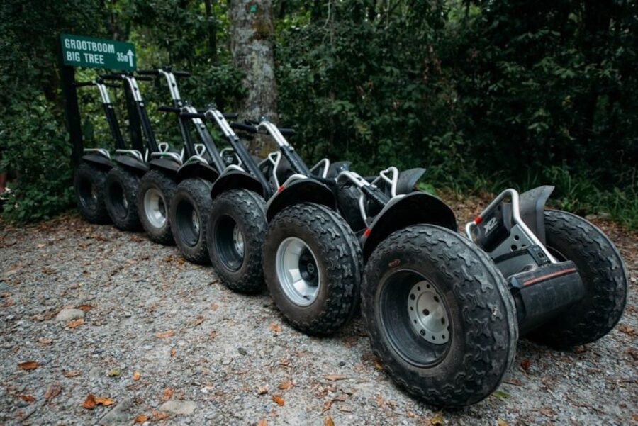 Tsitsikamma National Park: 1 or 2-Hour Segway Tour - Indigenous Forest Time and the 1,000-Year-Old Big Tree
