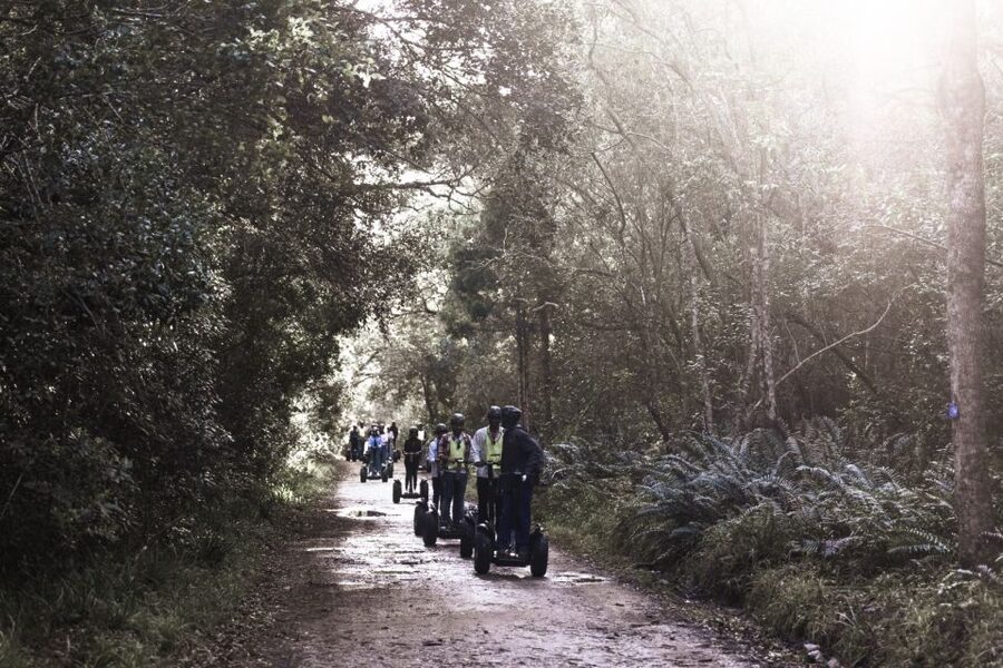 Tsitsikamma National Park: 1 or 2-Hour Segway Tour - 1-Hour vs 2-Hour Segway Tours: Choosing the Right Amount of Forest