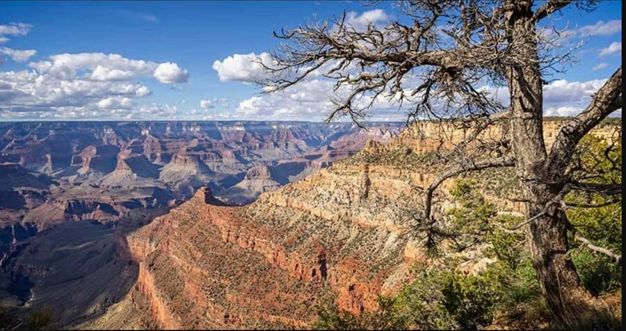 Tusayan: Grand Canyon National Park Off Road Journey - IMAX ticket included: a helpful wrap-up after the off-road part