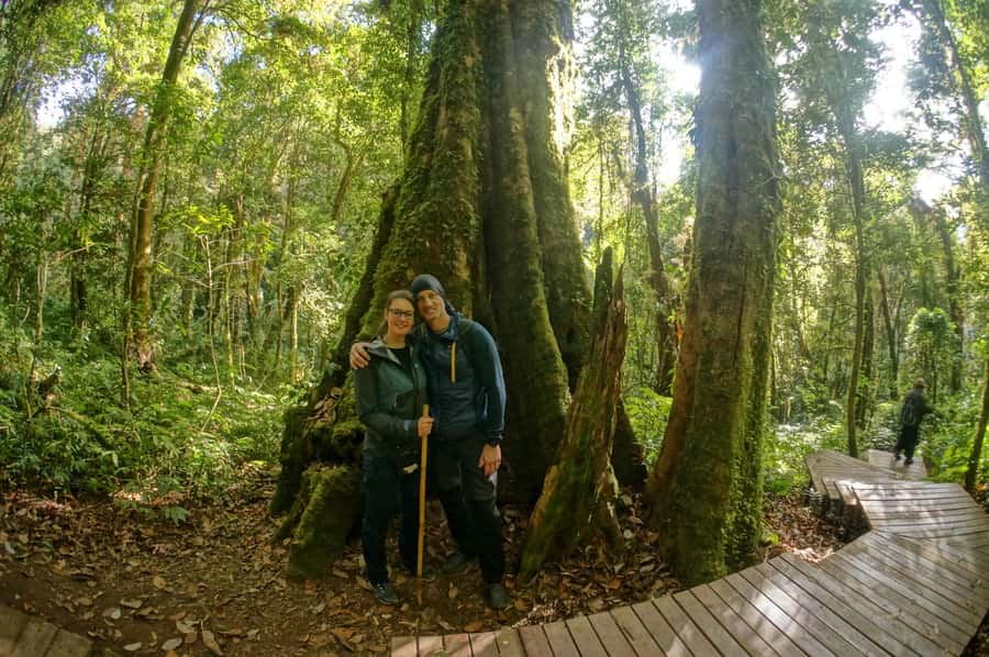Two days Doi Inthanon national park - Sleeping in the Hills: Guest Houses, Views, and Stargazing Chances