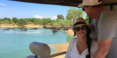 Udawalawa National Park: All-Inclusive Private Day Tour - The 3-hour jeep safari: what your drive actually feels like