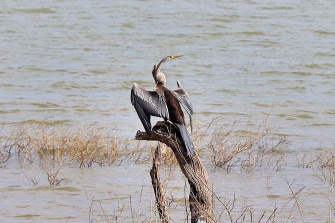 Udawalawa National Park half day Safari - Price and value: is $85 a good deal?