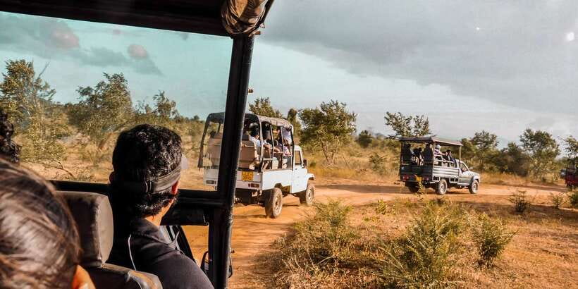 Udawalawa National Park: Private Safari - The elephant hunt: how the guide helps you actually see