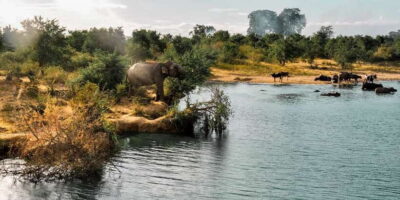 Udawalawa National Park: Private Safari - The 4x4 jeep and the 3-hour timing that keeps it fun