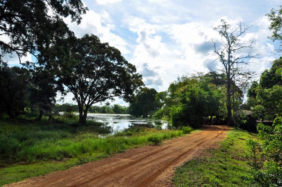 Udawalawa National Park: Private Safari - What each part of the ride feels like (and what to watch for)