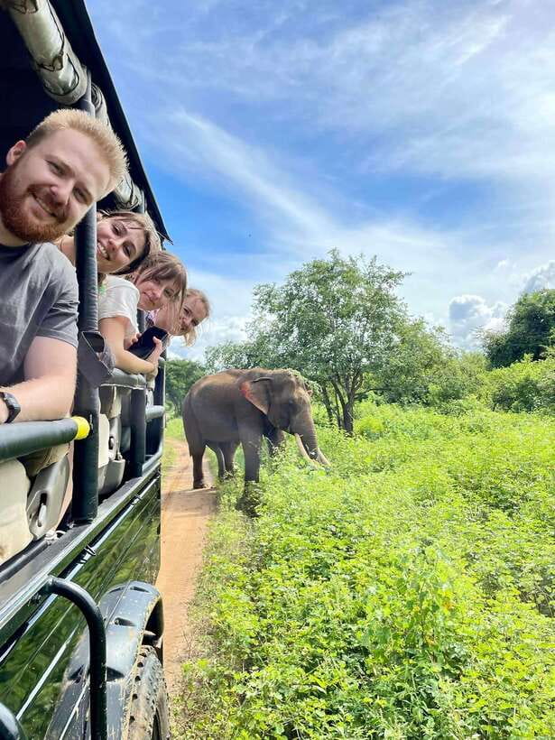 Udawalawa National Park Safari & Elephant Transit Home Tour - Who should book this safari (and who might want another option)