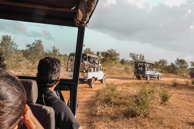 Udawalawe National Park Entrance Ticket with Private Safari - Udawalawe National Park: why this place is worth your time
