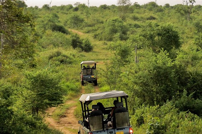Udawalawe National Park Entrance Ticket with Private Safari - Guide impact: why the right driver-tracker can change your whole safari
