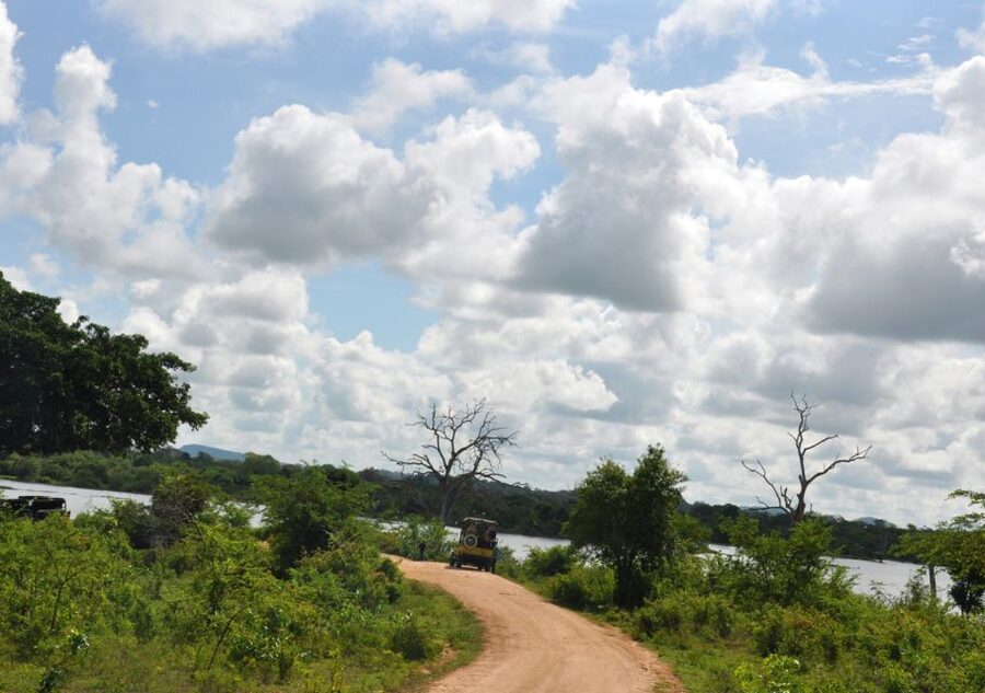 Udawalawe National Park Private Full-Day Safari - Meeting at the gate: simple and straightforward