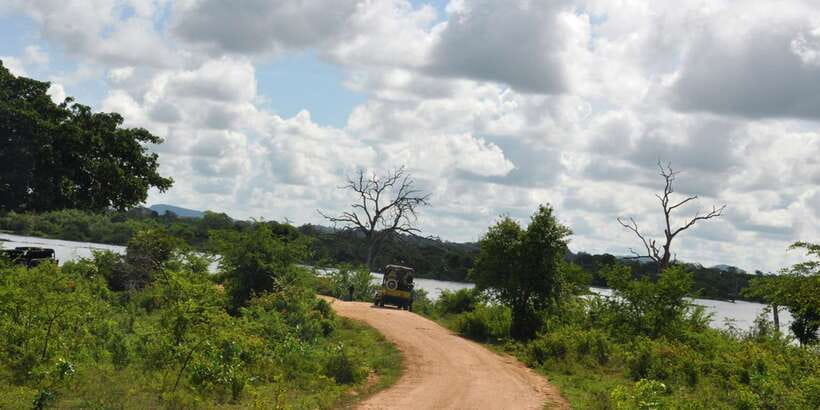 Udawalawe National Park Private Full-Day Safari - What to bring: make it easy on your body