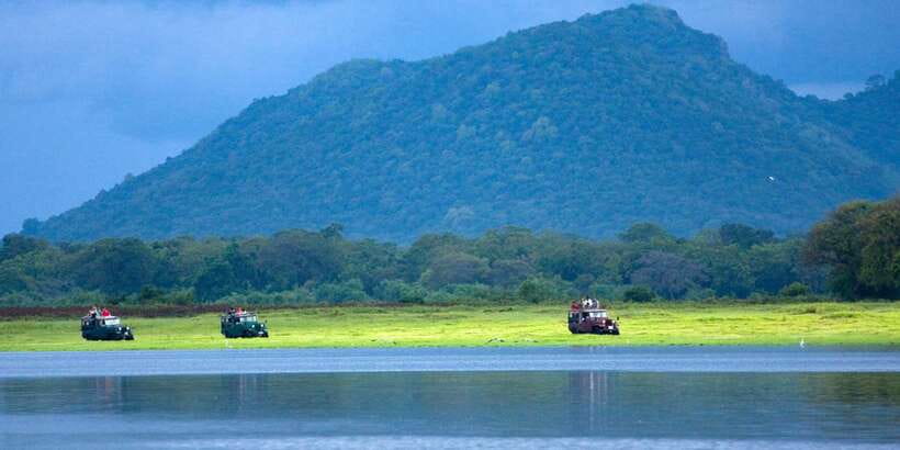 Udawalawe National Park Private Full-Day Safari - Price and what you really get for $50